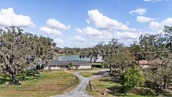 a view of a trees with a yard