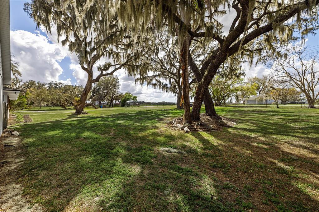 4019 Moores Lake Road Dover, FL 33527 - Photo 49 of 67