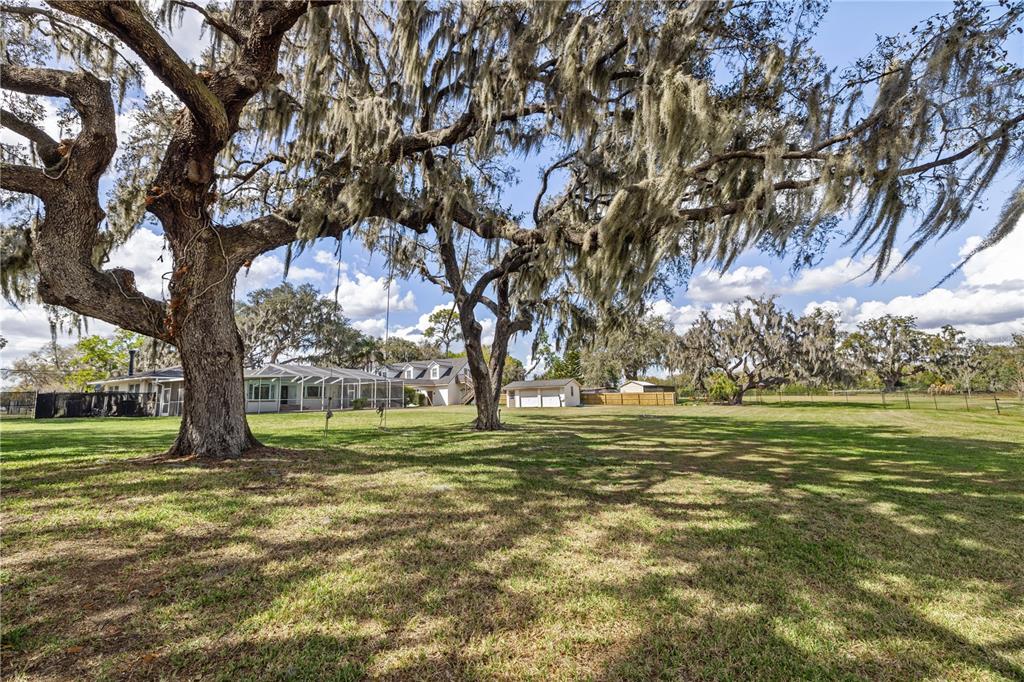 4019 Moores Lake Road Dover, FL 33527 - Photo 58 of 67