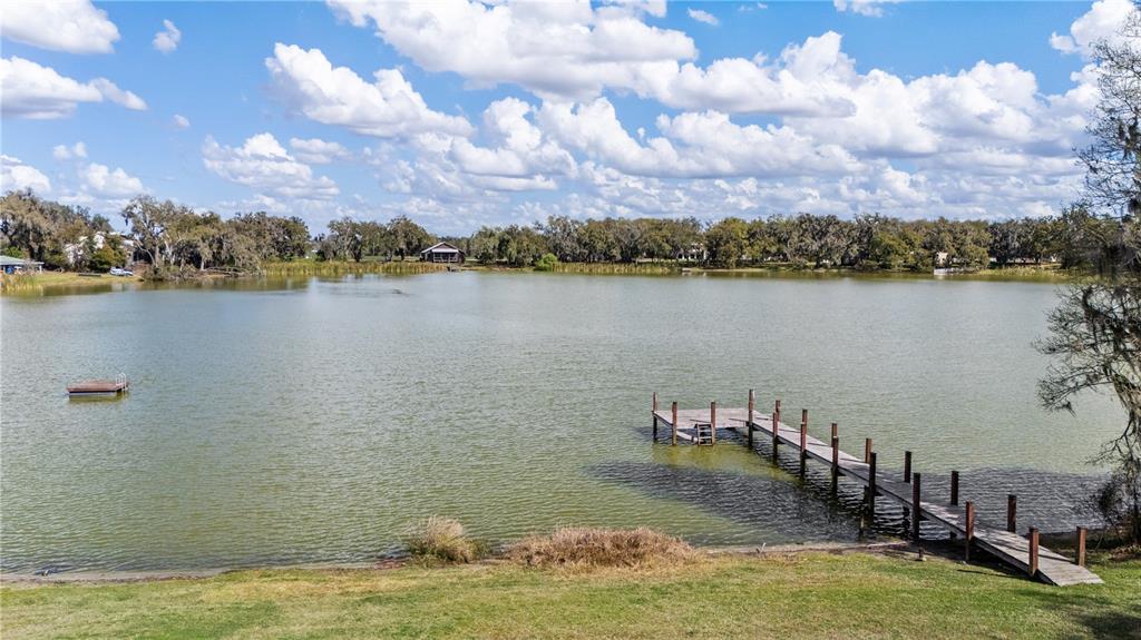 4019 Moores Lake Road Dover, FL 33527 - Photo 62 of 67