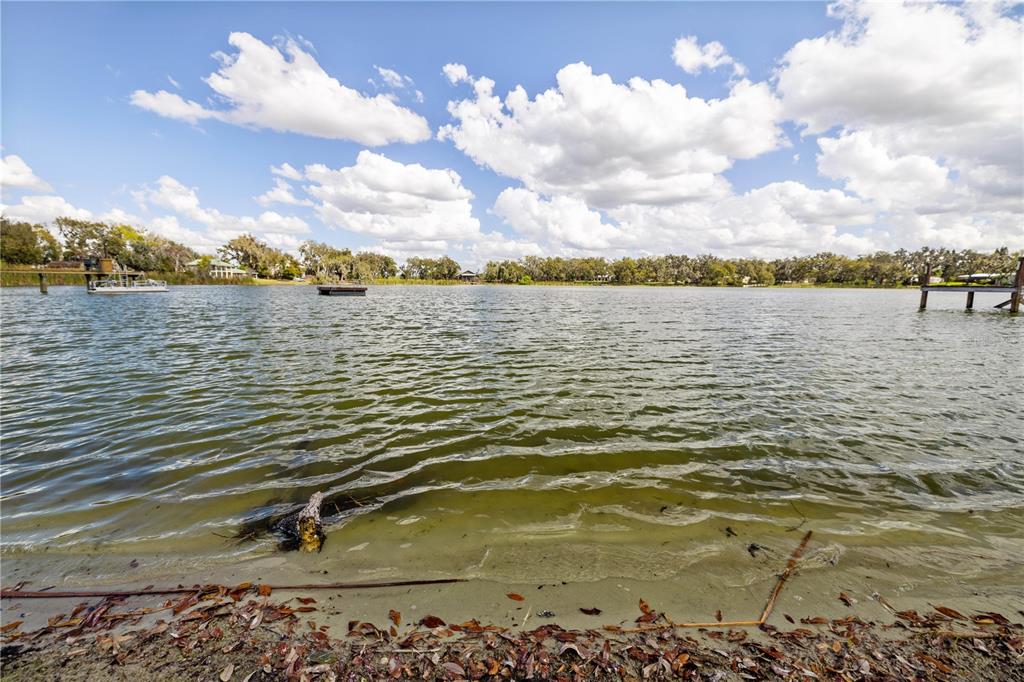 4019 Moores Lake Road Dover, FL 33527 - Photo 63 of 67