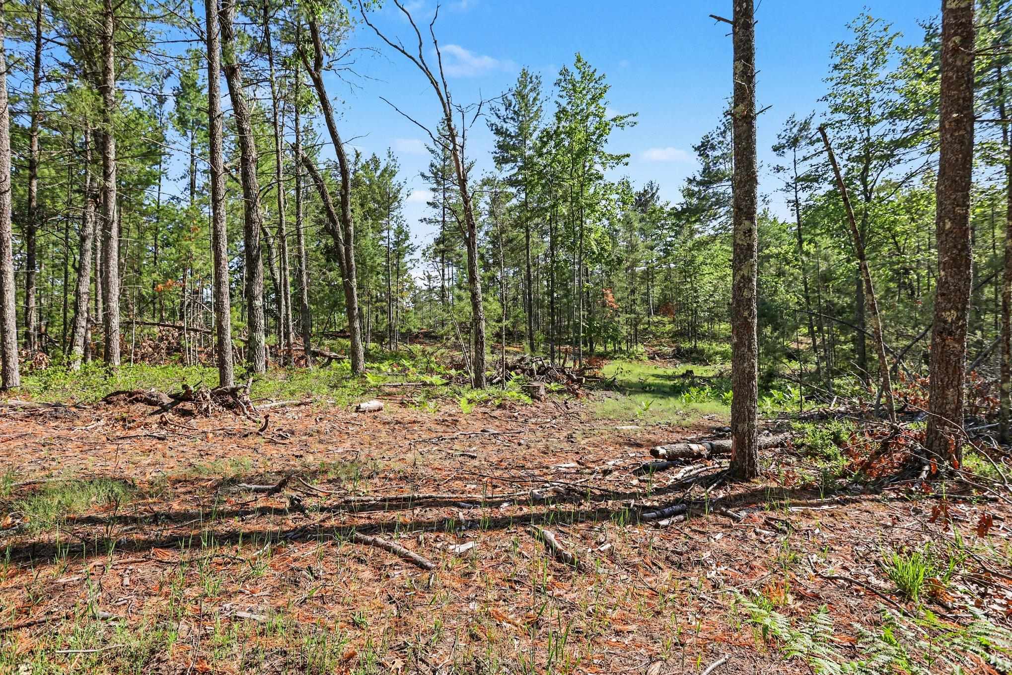 0 Fairview Road West Branch, MI 48661 - Photo 20 of 23