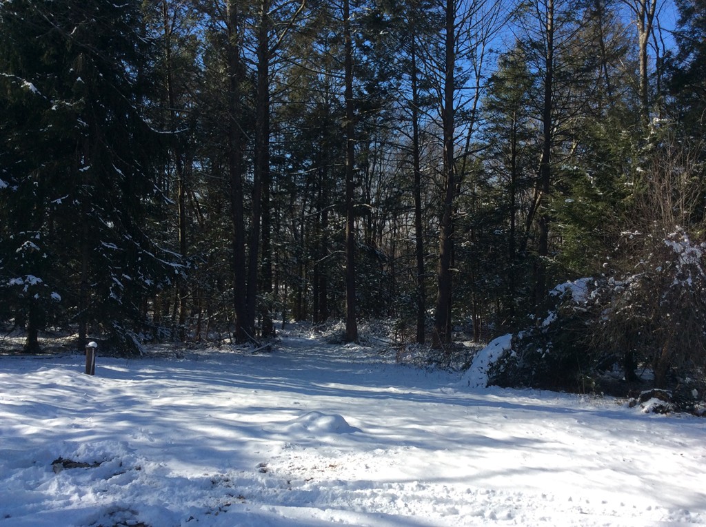 130 Sackett Road Westfield, MA 01085 - Photo 7 of 22 Gallery Image 7