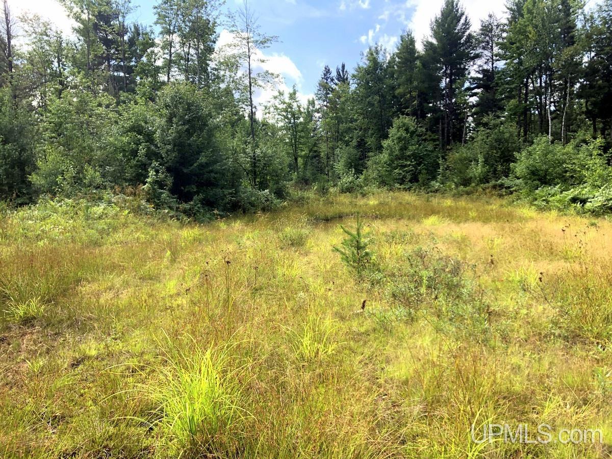 Tbd Tbd Co Road Negaunee, MI 49866 - Photo 6 of 24
