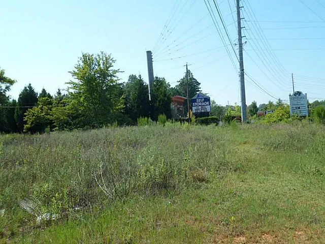 a view of a field of grass and trees
