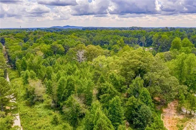 a view of a city with lush green forest