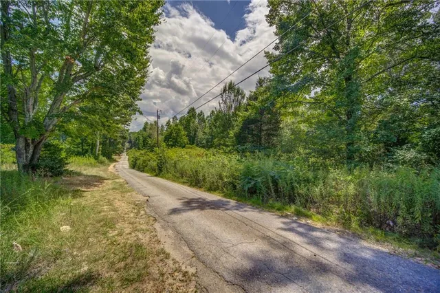 a view of a pathway of a park