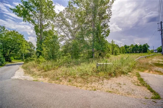 a view of a yard with plants and large trees