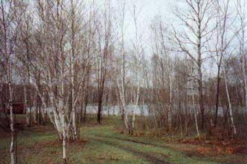175th Avenue Reed City, MI 49677 - Photo 2 of 2 Additional Photo