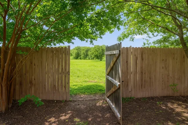 a view of a backyard with a tree