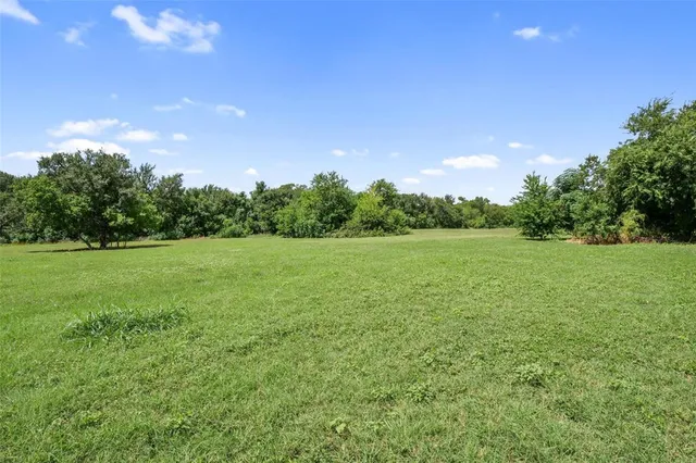 a view of a grassy field with trees in the background