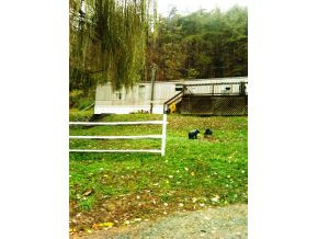 3080 Siam Road Elizabethton, TN 37643 - Photo 3 of 5 Photo 3