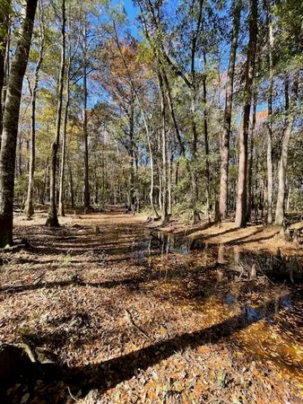 $149,900 | 608 Bc Estates Lane, Cross, SC 29436
