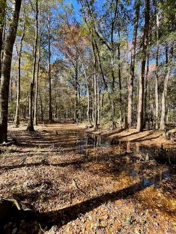 $149,900 | 608 Bc Estates Lane, Cross, SC 29436