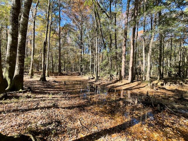 608 Bc Estates Lane Cross, SC 29436 - Photo 13 of 14 IMG_8408