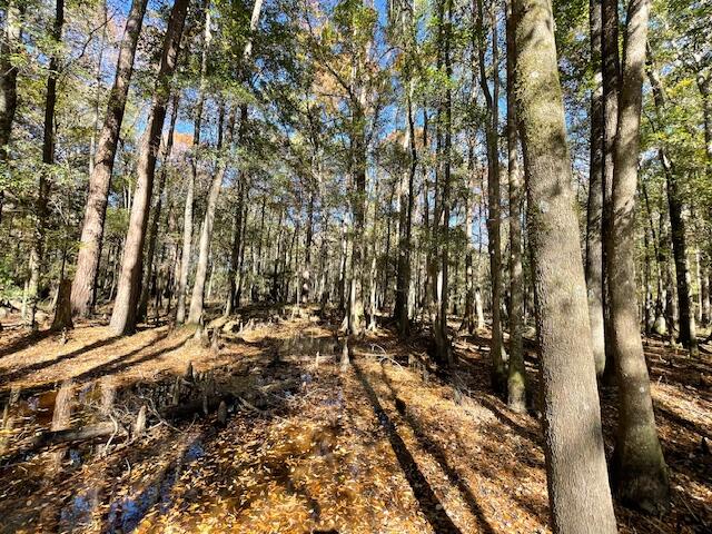 608 Bc Estates Lane Cross, SC 29436 - Photo 14 of 14 IMG_8409