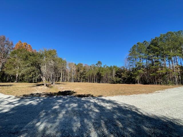 608 Bc Estates Lane Cross, SC 29436 - Photo 3 of 14 IMG_8415