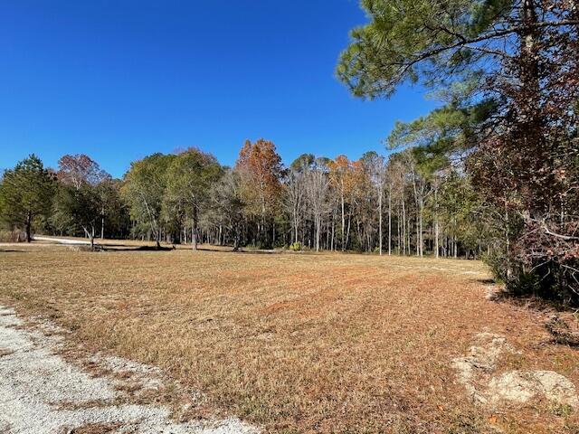 608 Bc Estates Lane Cross, SC 29436 - Photo 5 of 14 IMG_8404