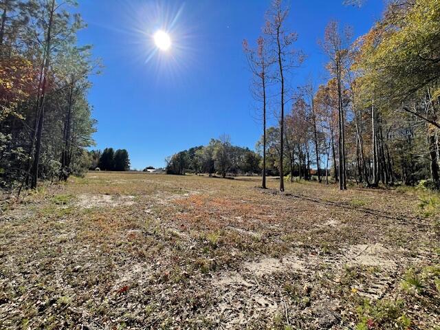 608 Bc Estates Lane Cross, SC 29436 - Photo 6 of 14 IMG_8405