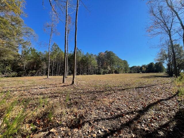 608 Bc Estates Lane Cross, SC 29436 - Photo 7 of 14 IMG_8412