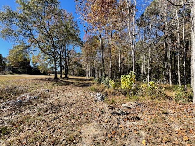 608 Bc Estates Lane Cross, SC 29436 - Photo 8 of 14 IMG_8414