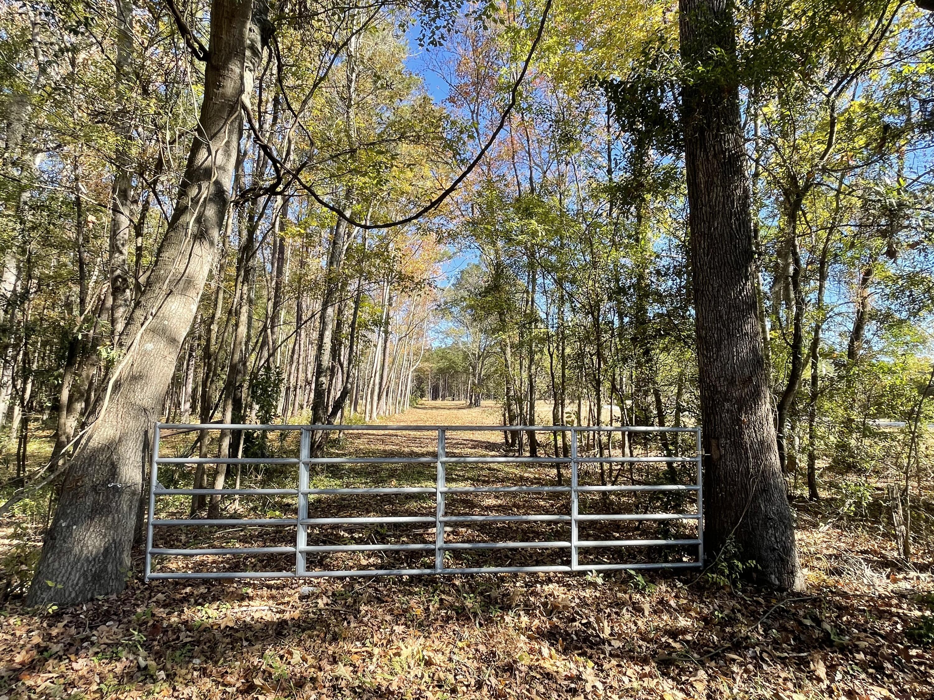 608 Bc Estates Lane Cross, SC 29436 - Photo 9 of 14 IMG_8417