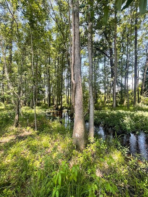 608 Bc Estates Lane Cross, SC 29436 - Photo 10 of 14 IMG_7750