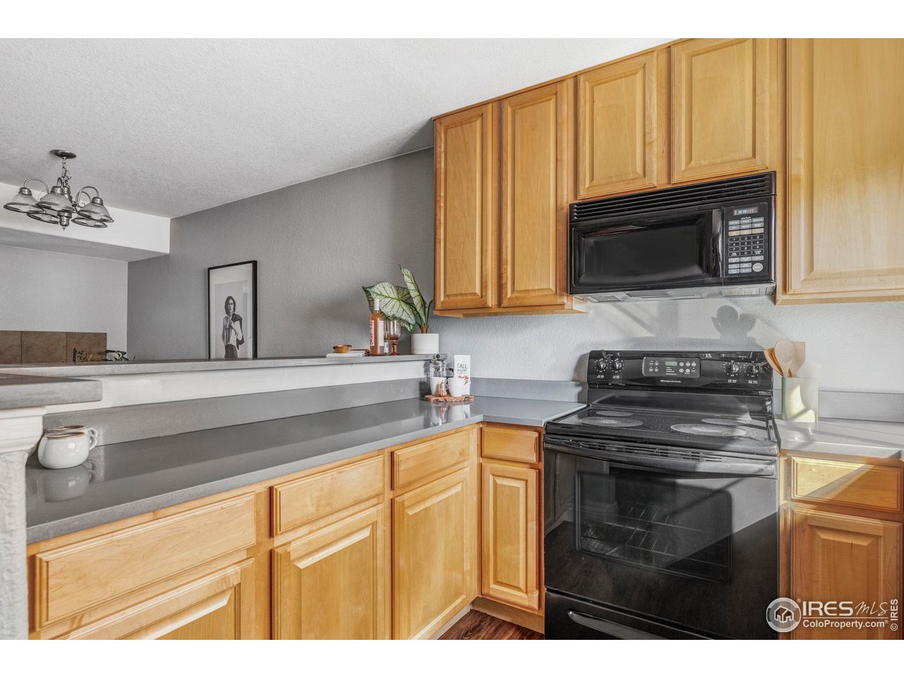 4240 Riley Drive Longmont, CO 80503 - Photo 15 of 25 Kitchen.