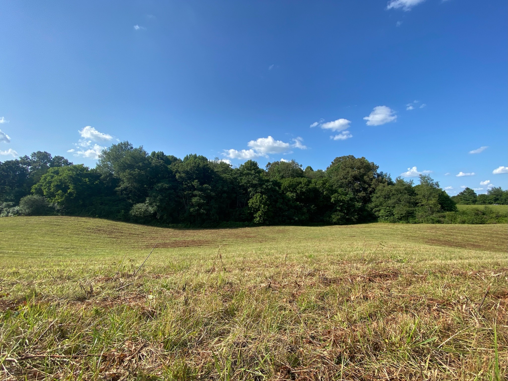0 Fred Hill Road Sparta, TN 38583 - Photo 11 of 33 Gallery Image 11