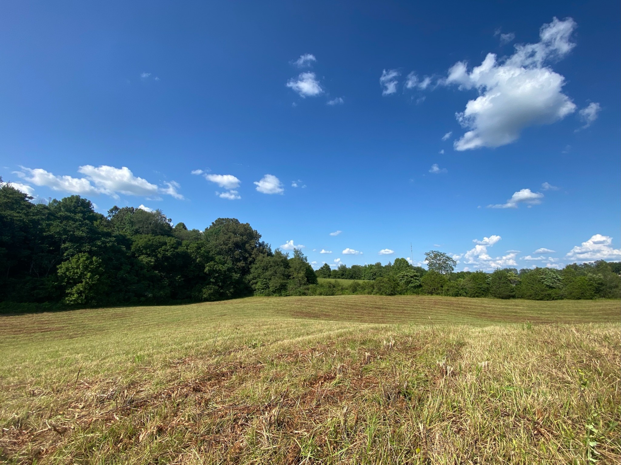 0 Fred Hill Road Sparta, TN 38583 - Photo 9 of 33 Gallery Image 9