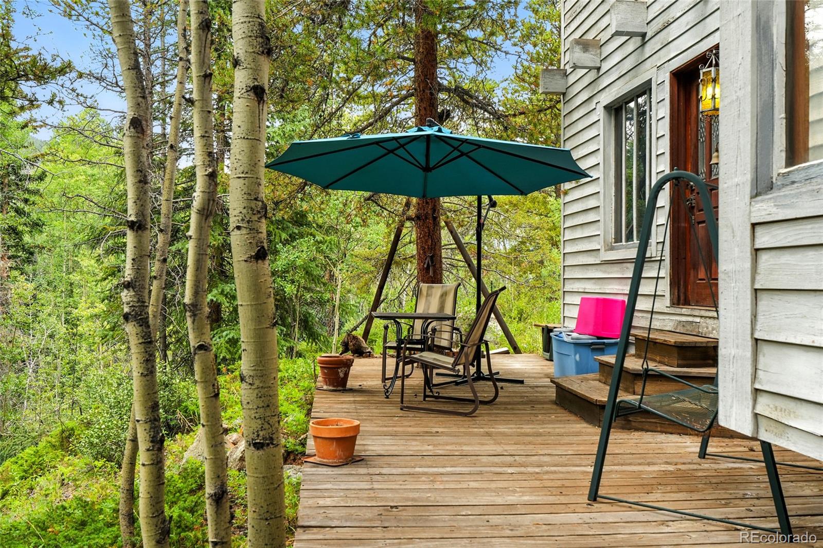 1493 Silver Valley Road Silver Plume, CO 80476 - Photo 49 of 50