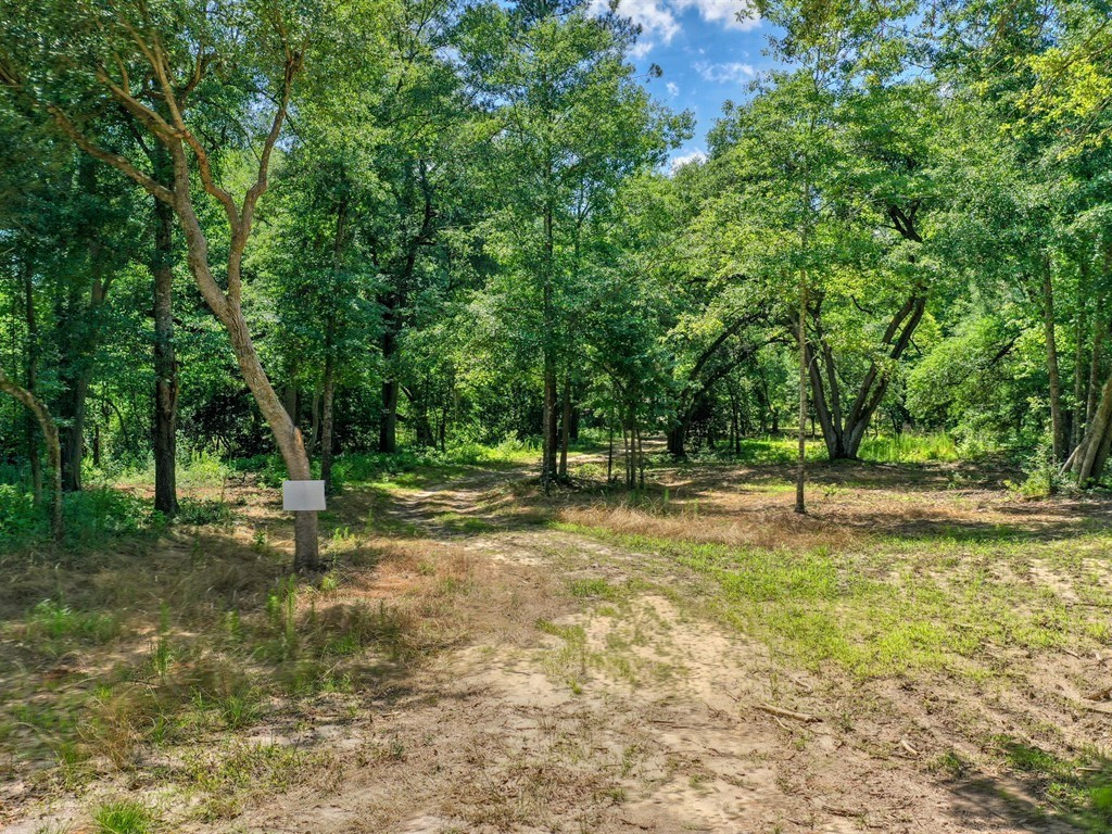 3 Old Dibble Road Aiken, SC 29803 - Photo 2 of 9