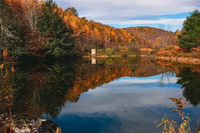 $180,000 | Big Hollow Road, Deposit, NY 13754