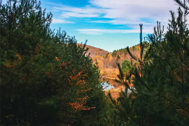 $180,000 | Big Hollow Road, Deposit, NY 13754