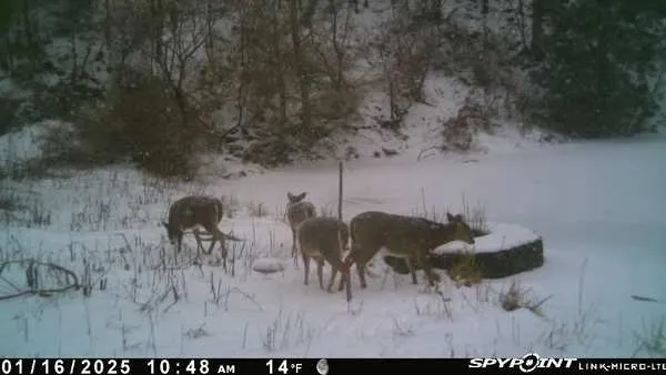 $180,000 | Big Hollow Road, Deposit, NY 13754