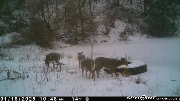 Big Hollow Road Deposit, NY 13754 - Photo 4 of 5