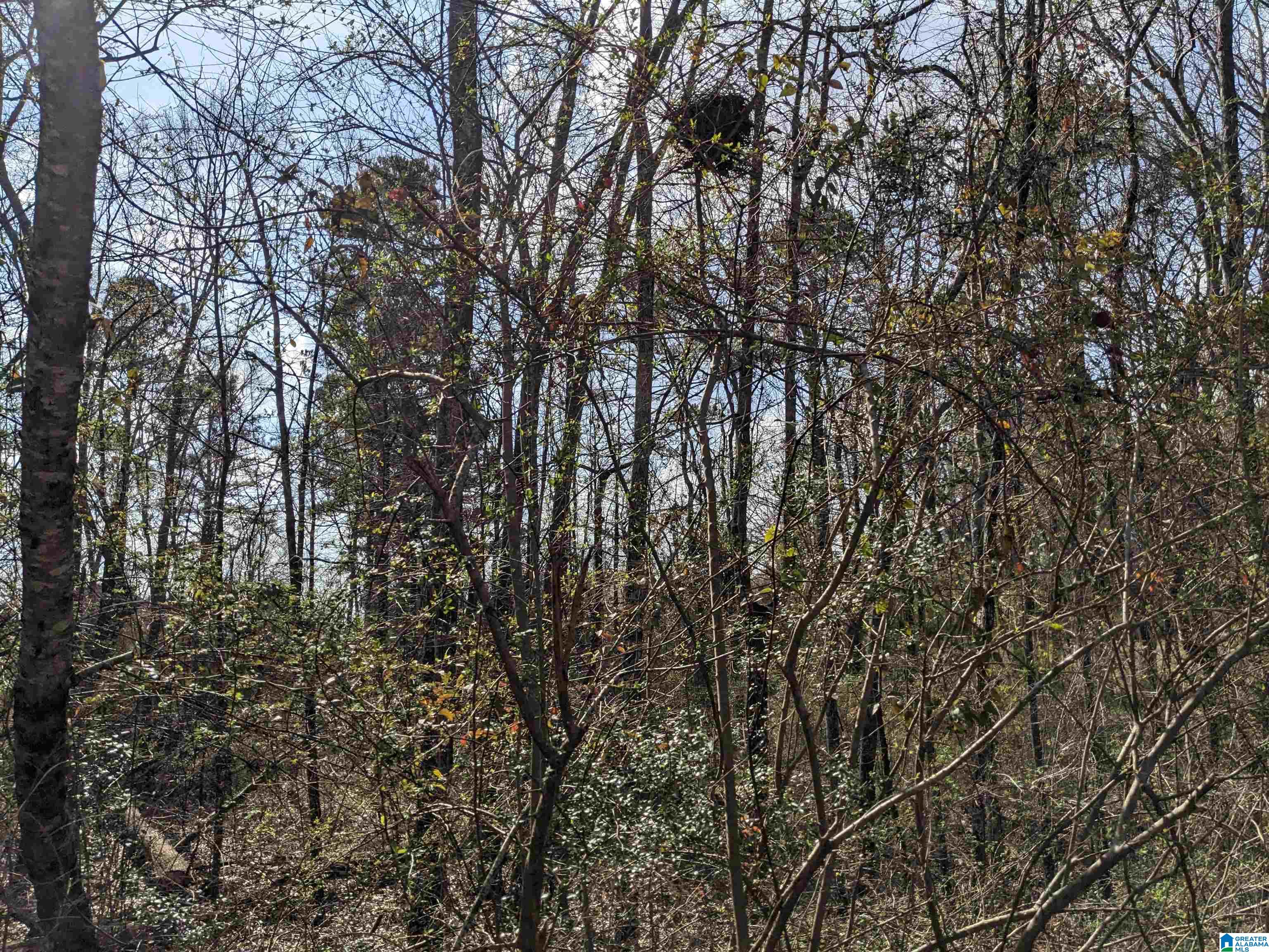 0 Hathaway Heights Road, Unit 2 & 3 Anniston, AL 36207 - Photo 10 of 30
