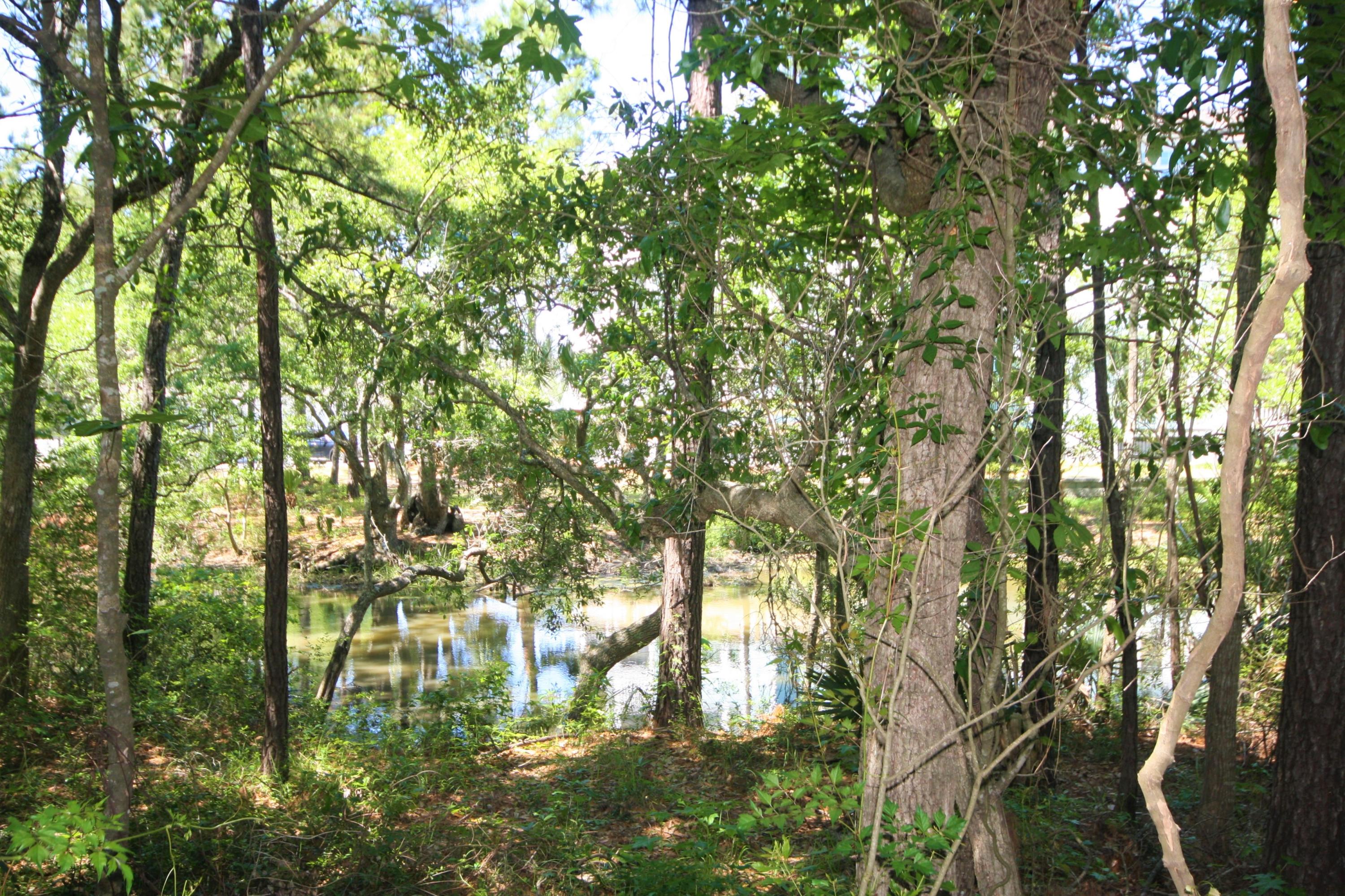428 Doane Way Wando, SC 29492 - Photo 35 of 36 37