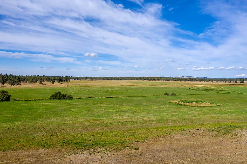 Xxx South Parker Road Spangle, WA 99031 - Photo 13 of 16