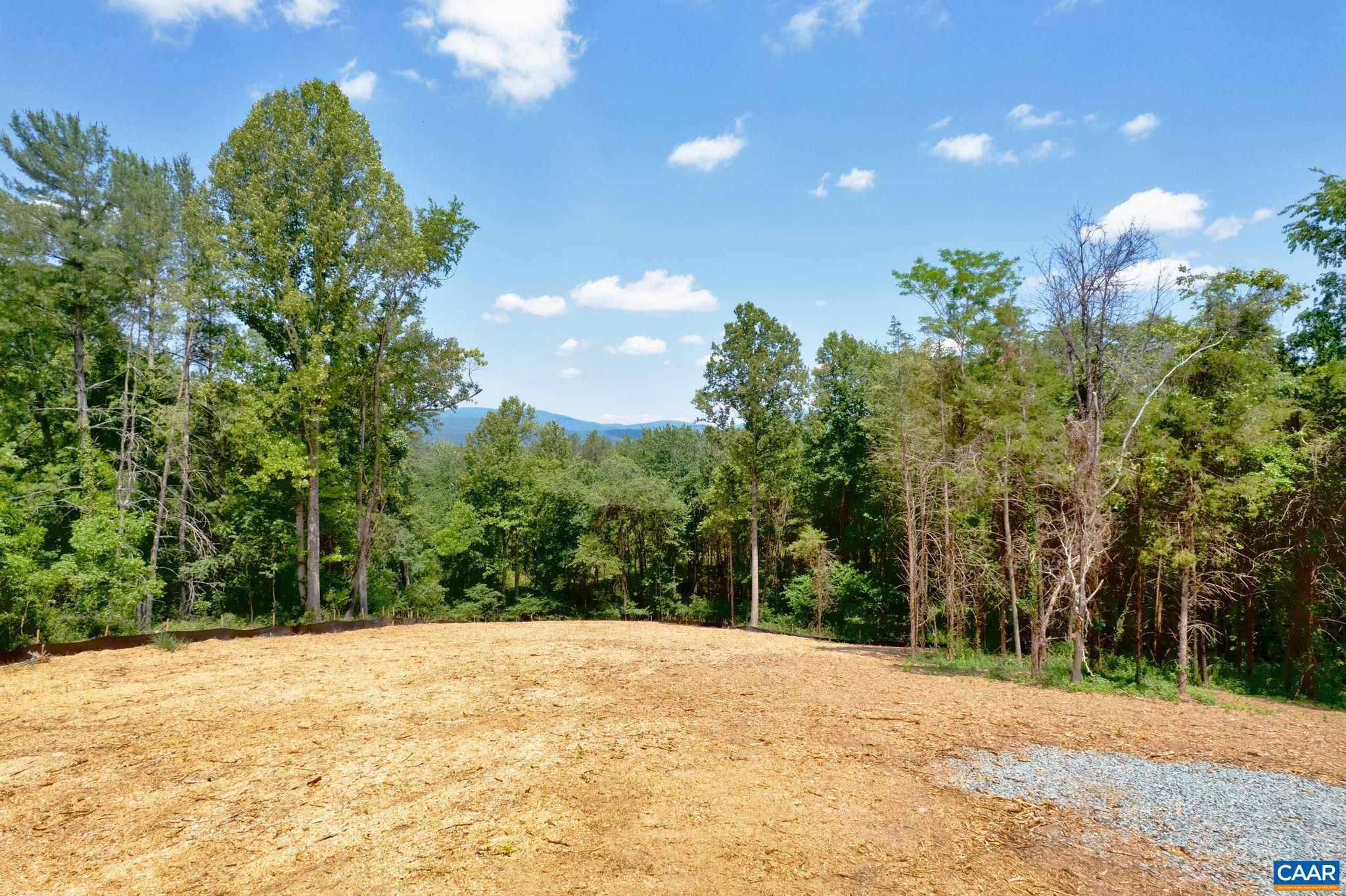 1 Buck Mountain Road, Unit LOT 1 Free Union, VA 22940 - Photo 2 of 39