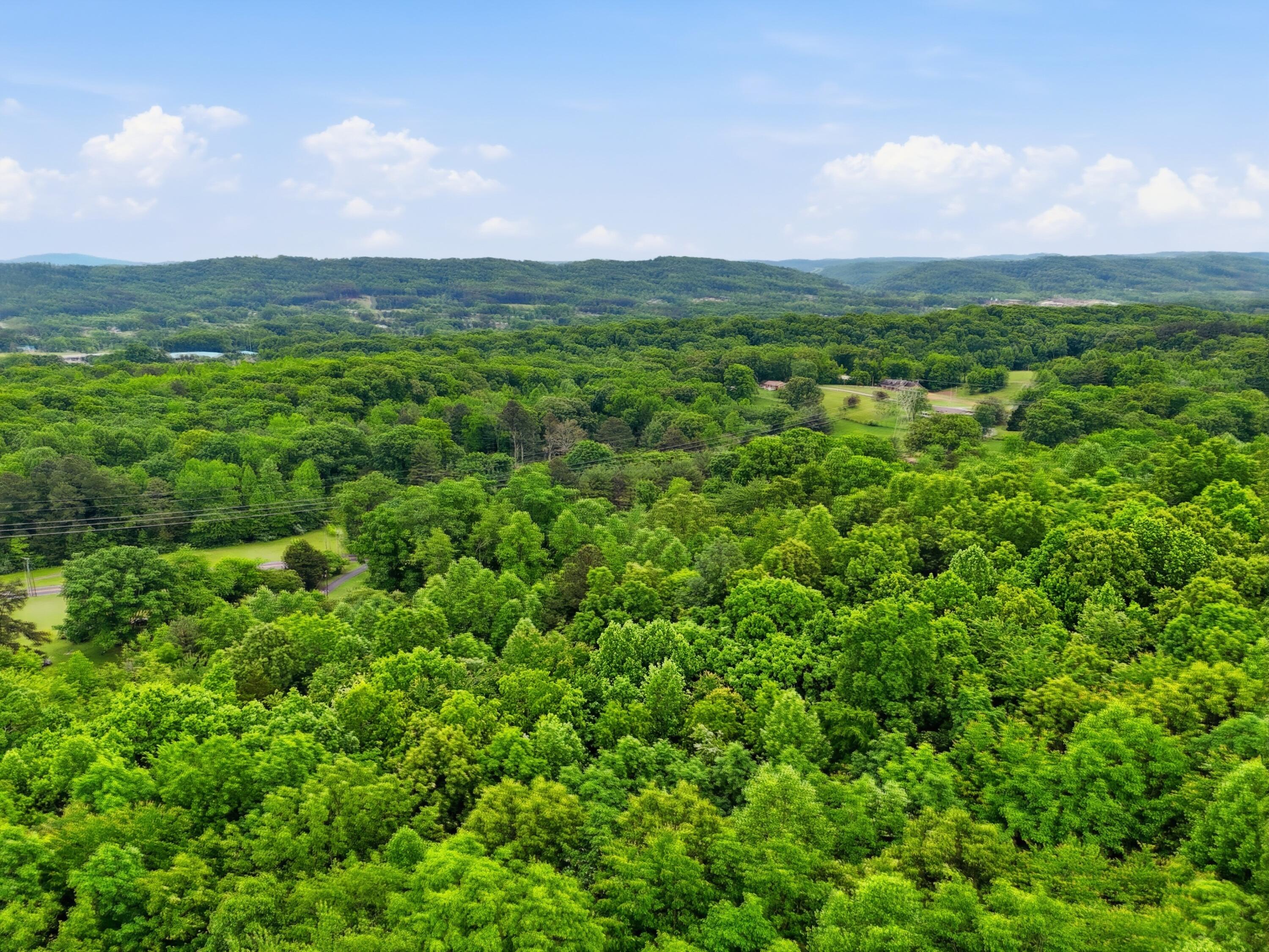 1301 River Road Decatur, TN 37322 - Photo 30 of 31 dji_20260507104217_0251_d