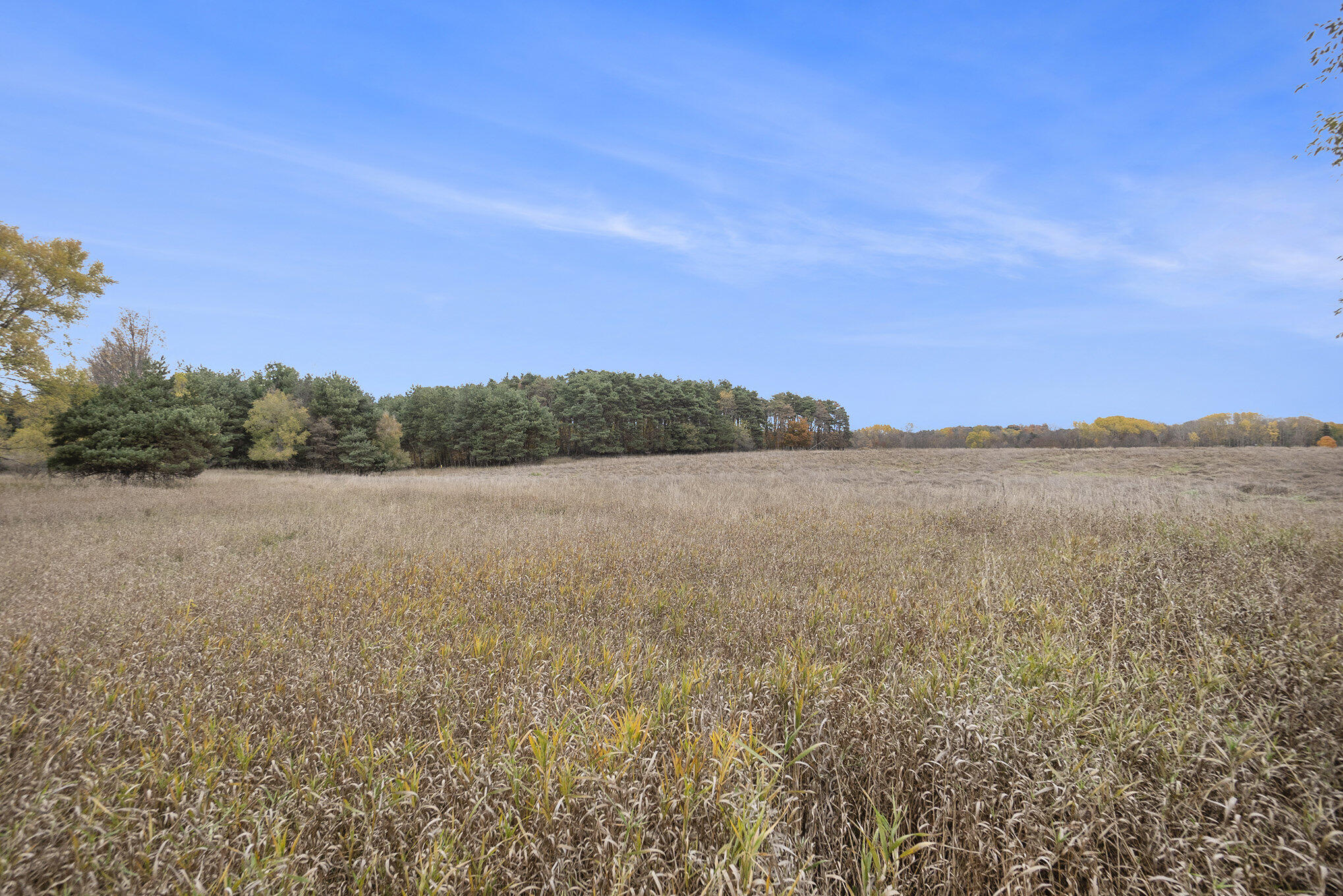 1870 West Tyler Road Hart, MI 49420 - Photo 3 of 31 002_dsc02797_696