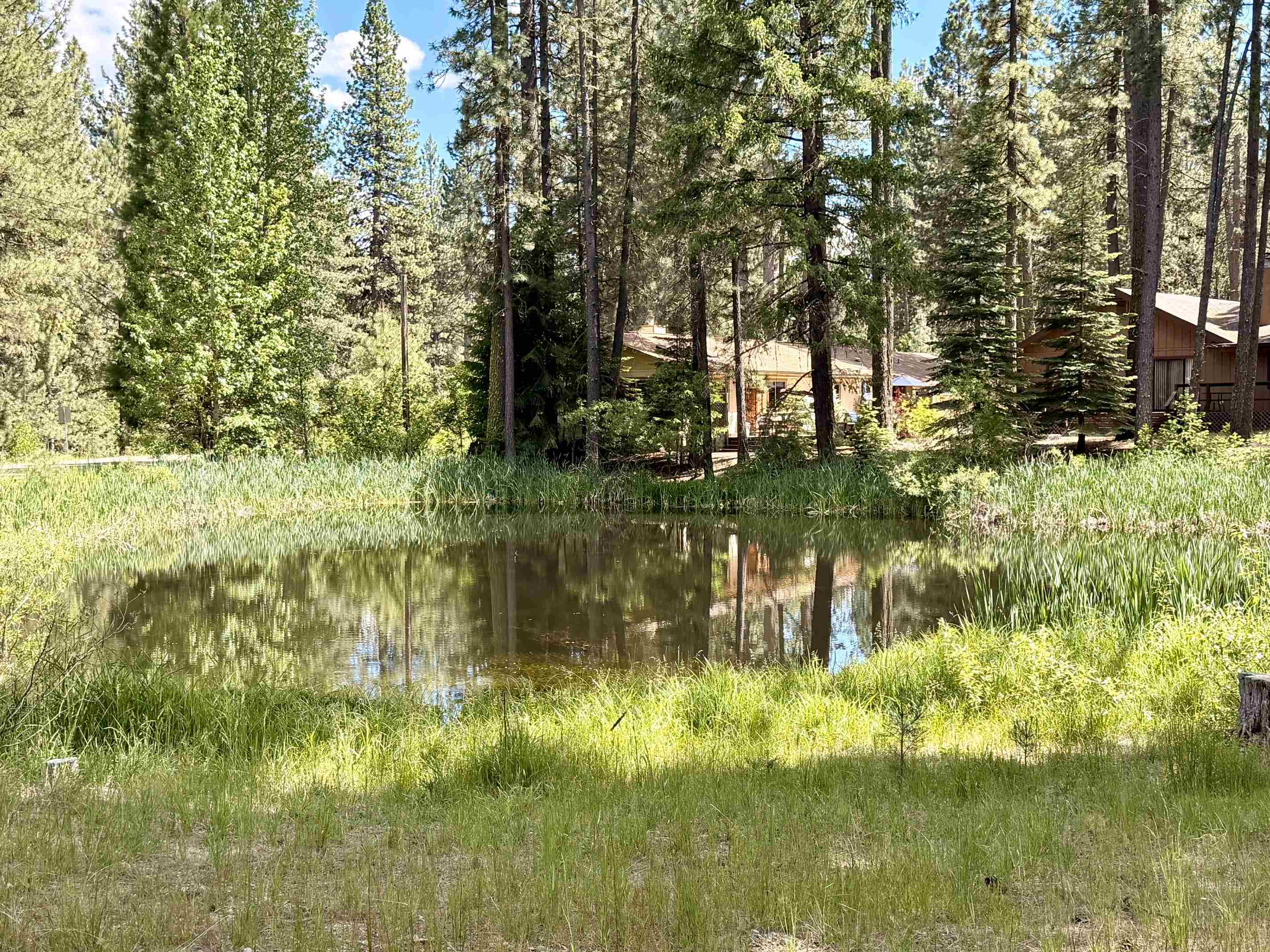 201 Poplar Valley Road Blairsden, CA 96103 - Photo 17 of 19