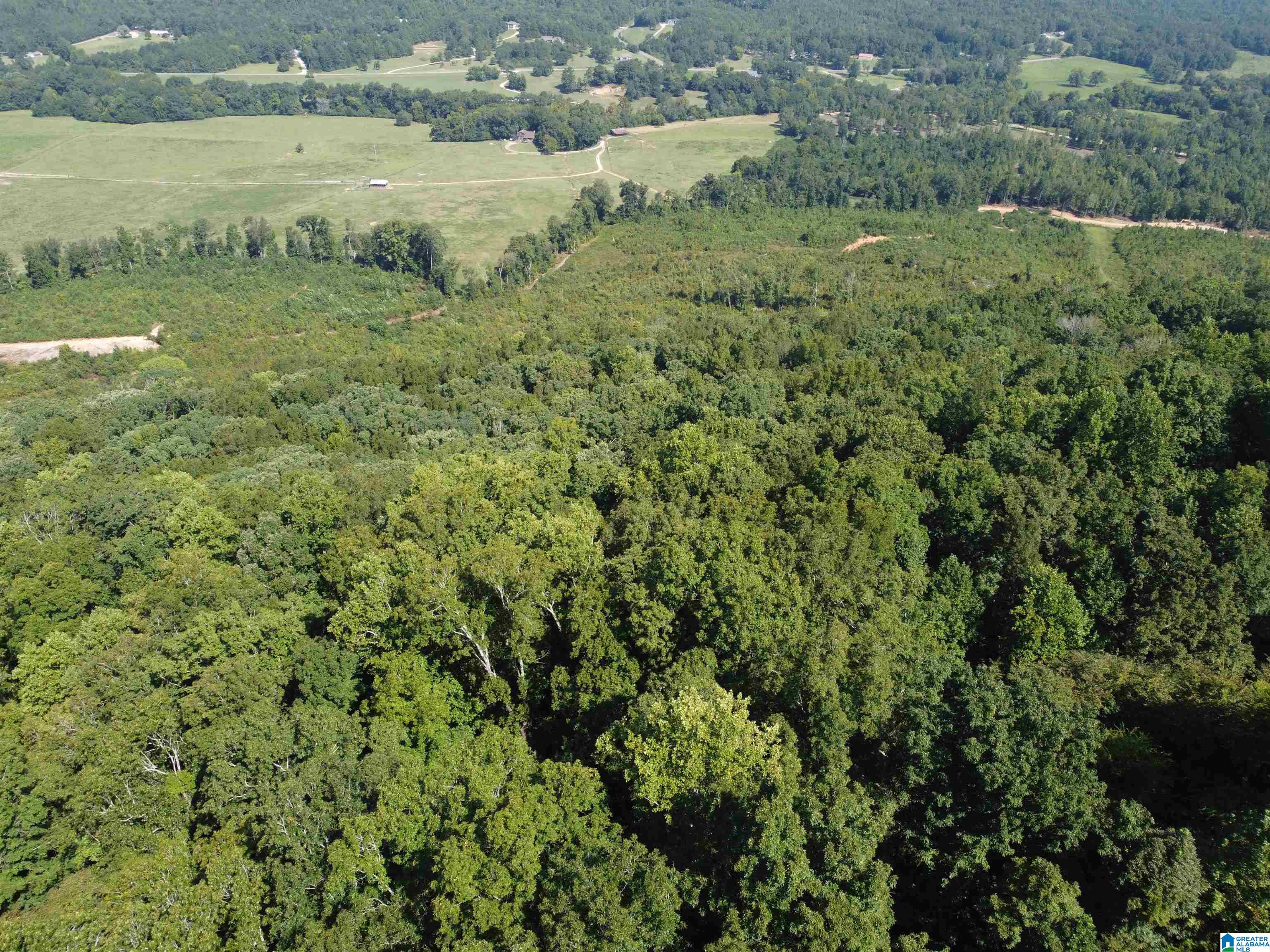 0 Beaver Mountain Road Ashville, AL 35953 - Photo 27 of 40