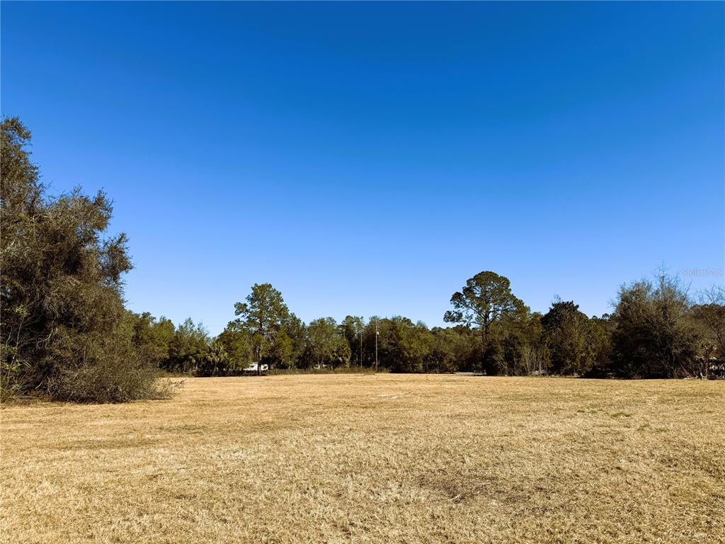 7400 Northeast 199th Street Road Citra, FL 32113 - Photo 11 of 21