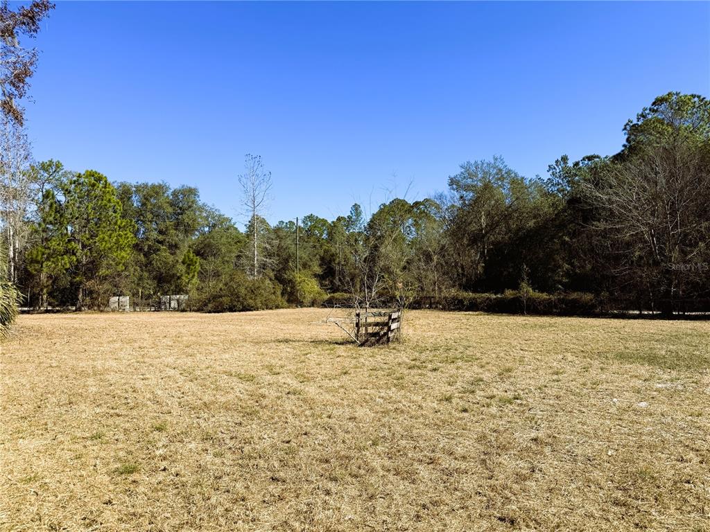 7400 Northeast 199th Street Road Citra, FL 32113 - Photo 13 of 21