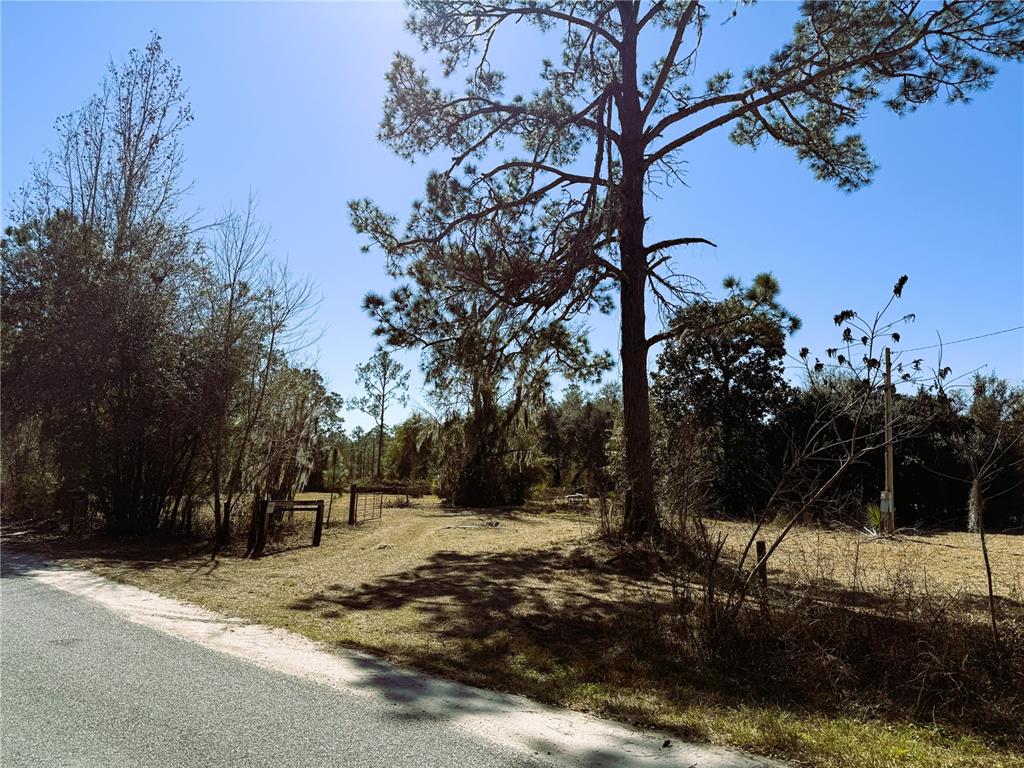 7400 Northeast 199th Street Road Citra, FL 32113 - Photo 16 of 21