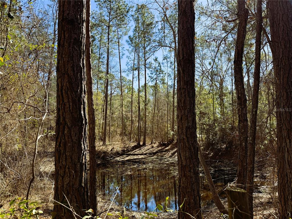 7400 Northeast 199th Street Road Citra, FL 32113 - Photo 18 of 21