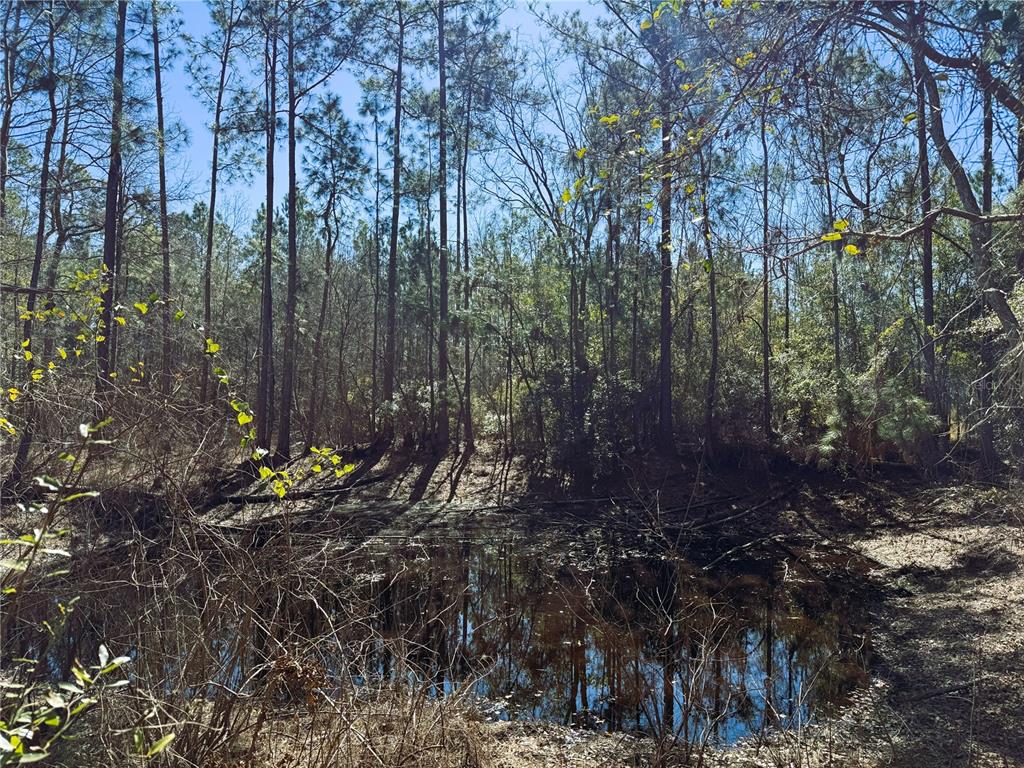 7400 Northeast 199th Street Road Citra, FL 32113 - Photo 19 of 21