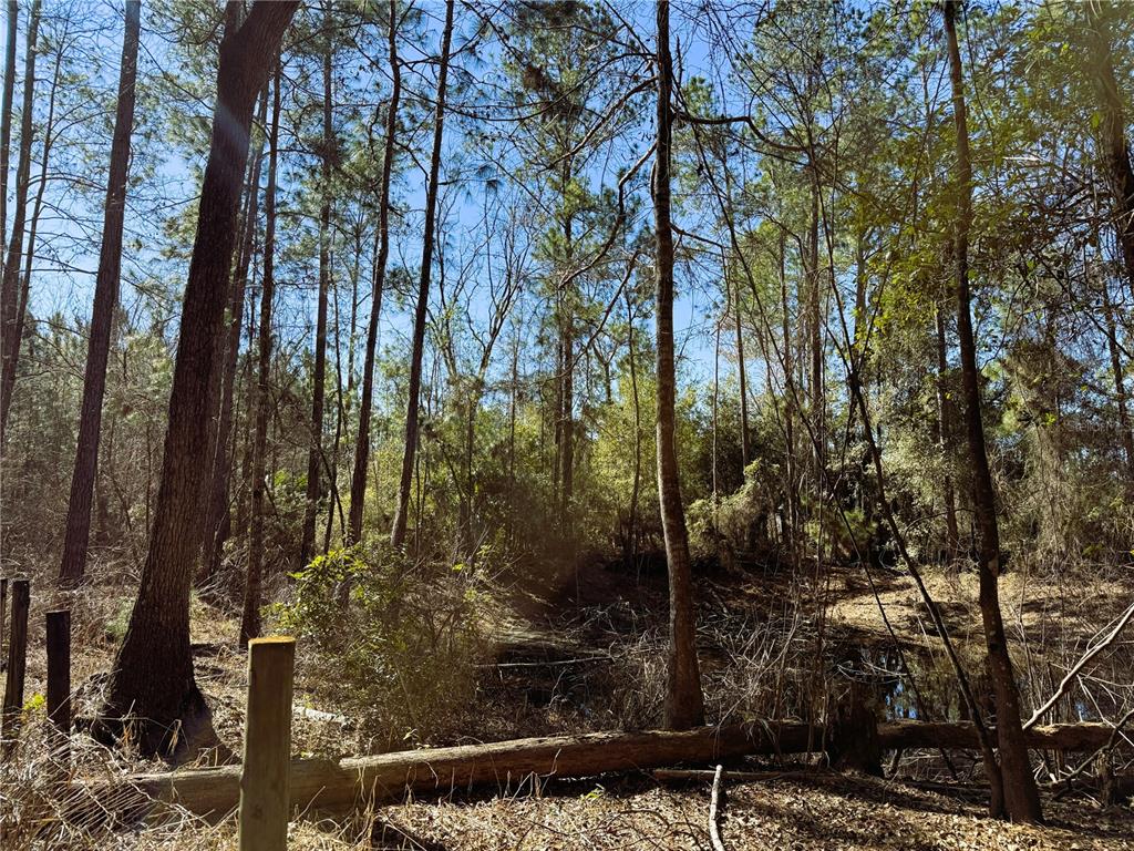 7400 Northeast 199th Street Road Citra, FL 32113 - Photo 20 of 21